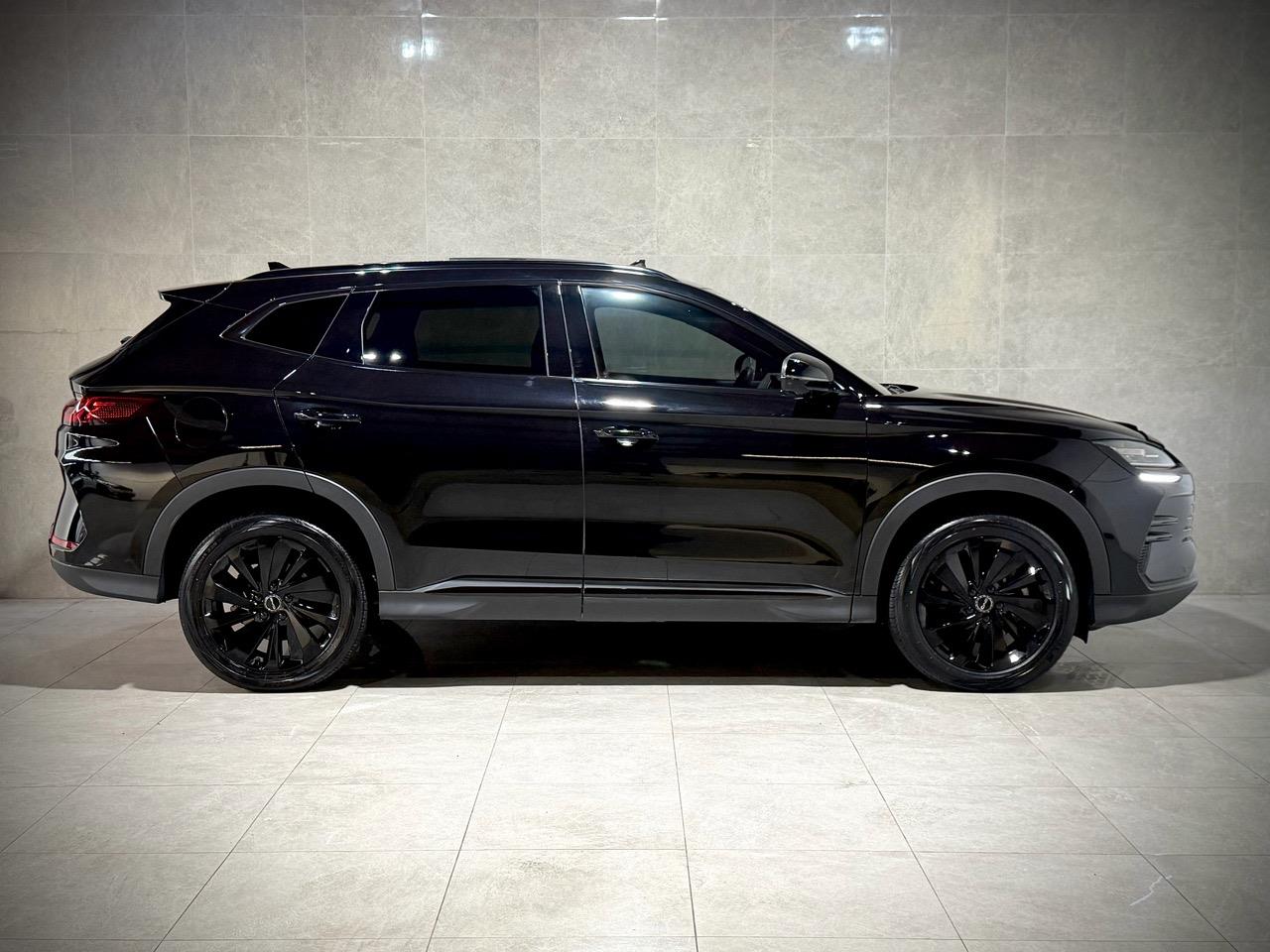 2024 BYD Sealion 6