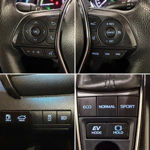 2019 Toyota Camry - Thumbnail