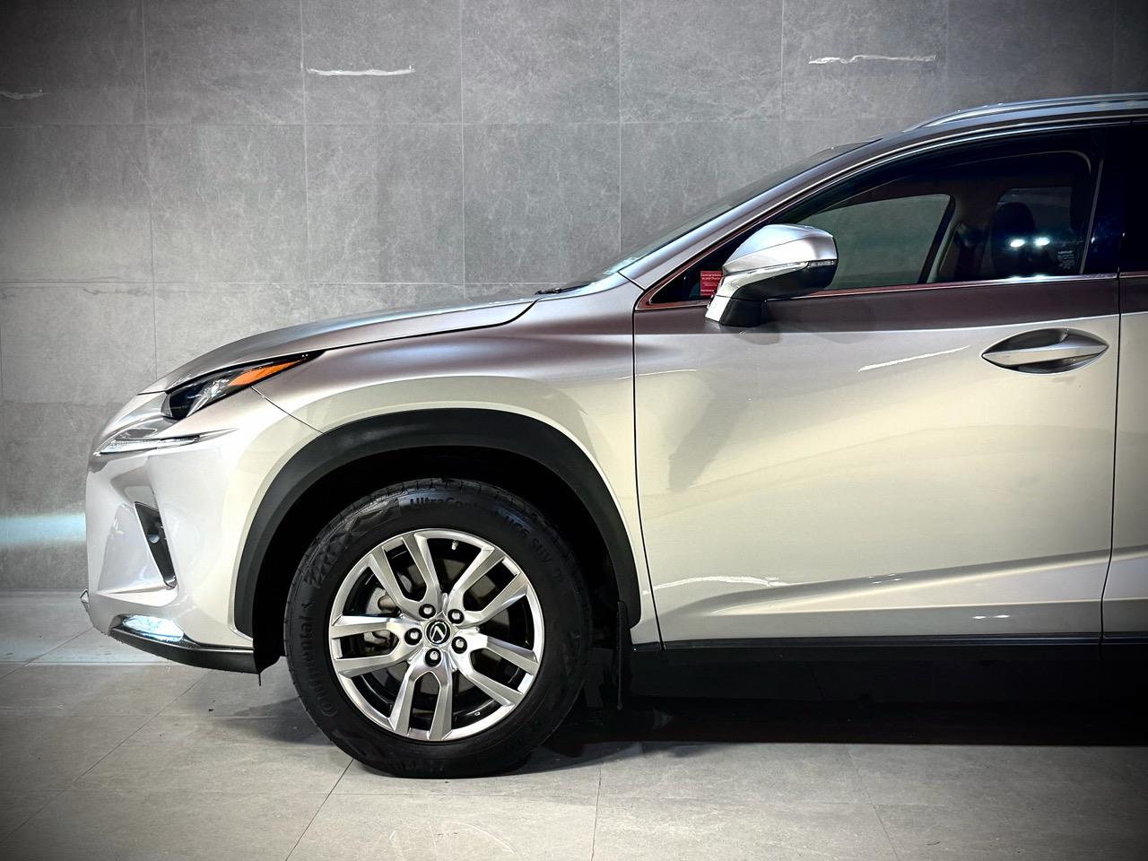 2019 Lexus Nx300h